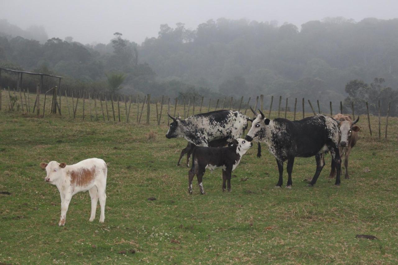 Newstead Farm - Country Cottages Curry's Post Luaran gambar