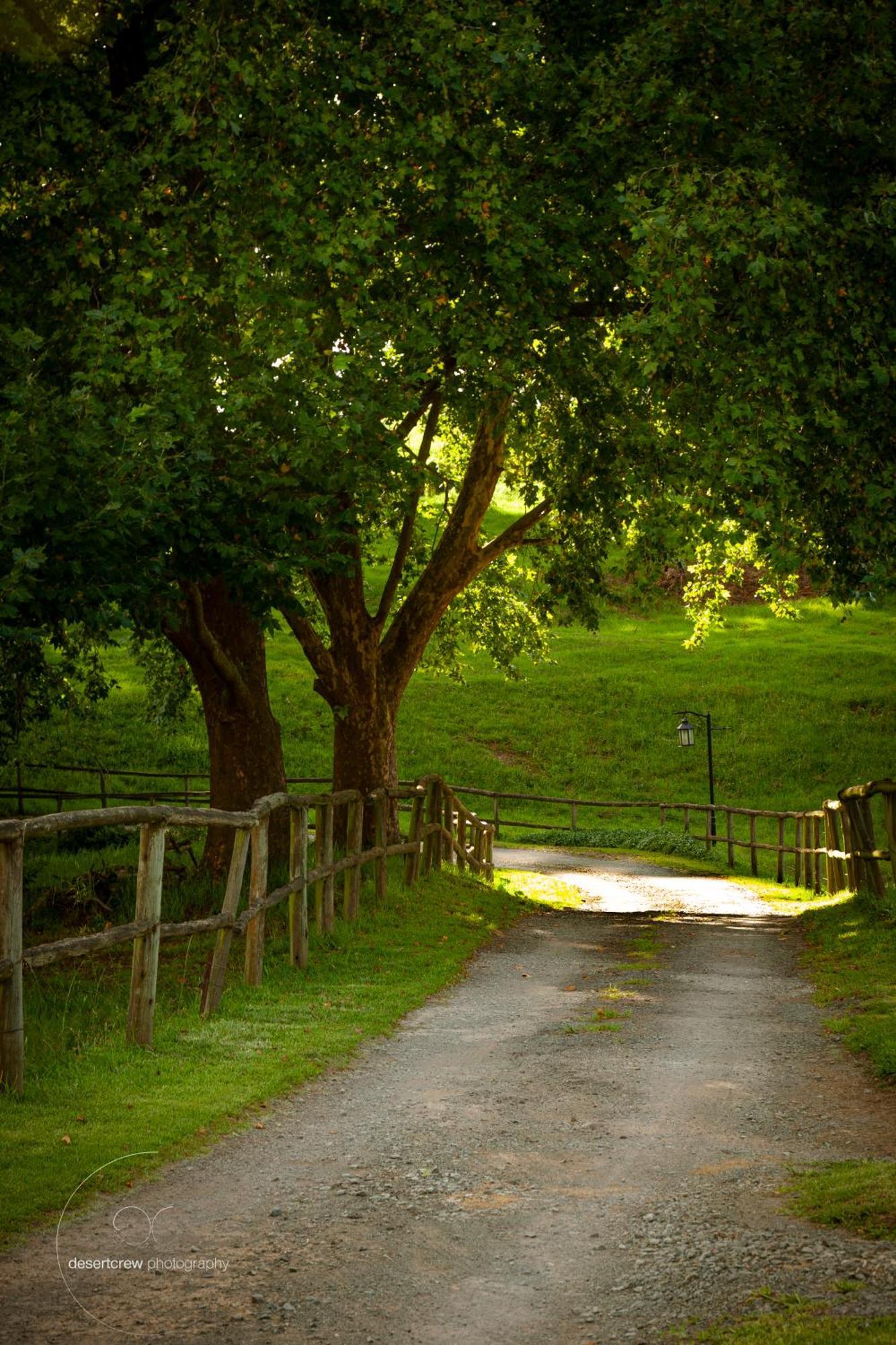 Newstead Farm - Country Cottages Curry's Post Luaran gambar