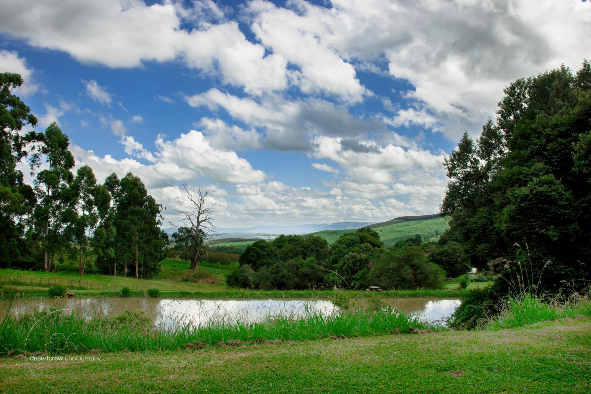 Newstead Farm - Country Cottages Curry's Post Luaran gambar